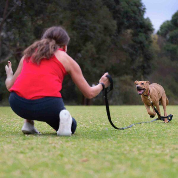 Canny Recall Dog Training Lead Small/Medium