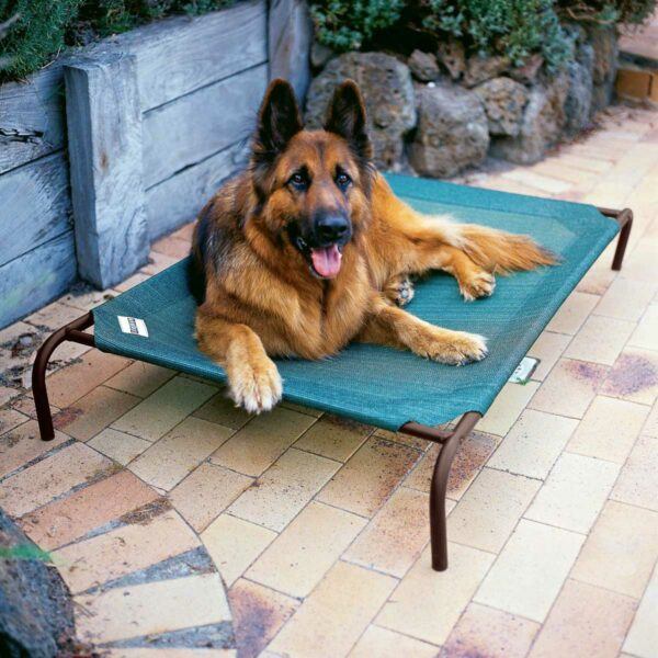 Coolaroo Dog Beds Green