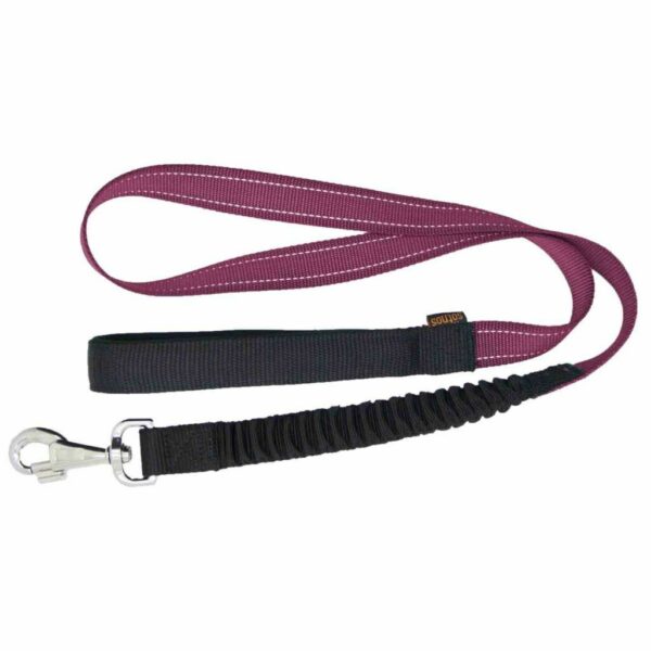 James & Steel Sotnos Anti Jolt Dog Lead - Pink