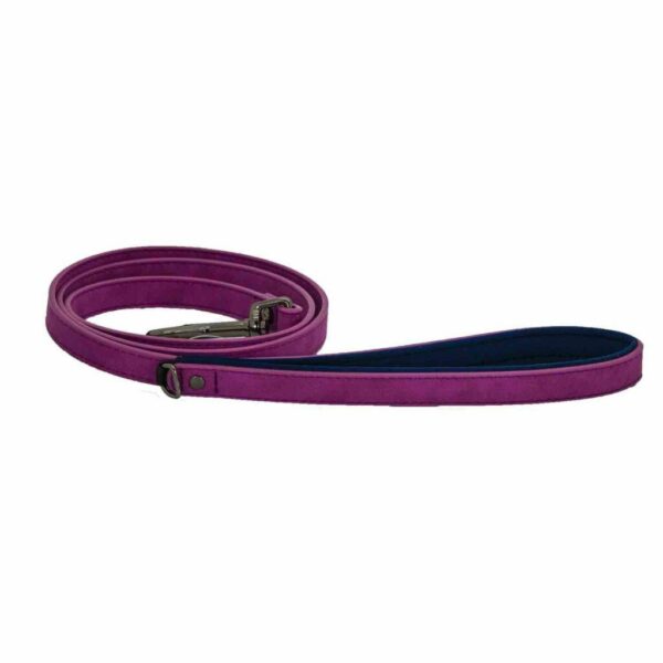 James & Steel Sotnos Bright Tech Dog Lead - Raspberry - 1.2m x 1.5cm