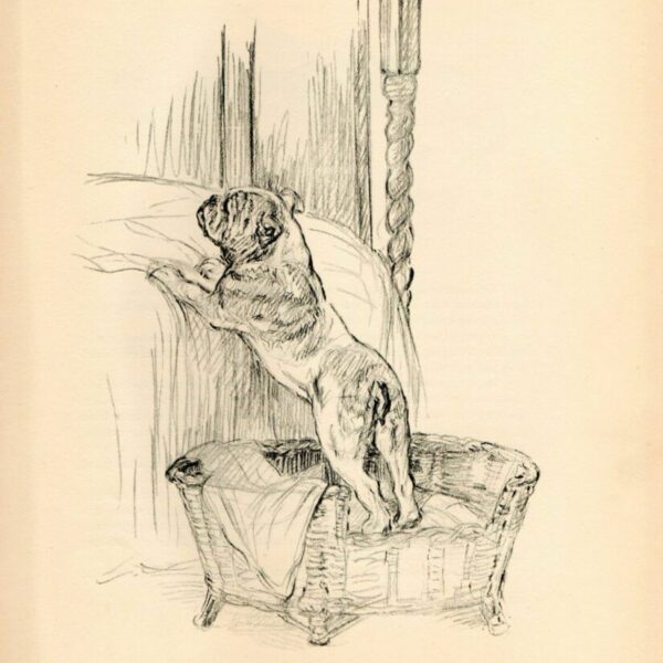 1938 Vintage Dog Print From A Book Of Sketches By K.f. Barker "... Gladly Transfer Themselves To Your Bed