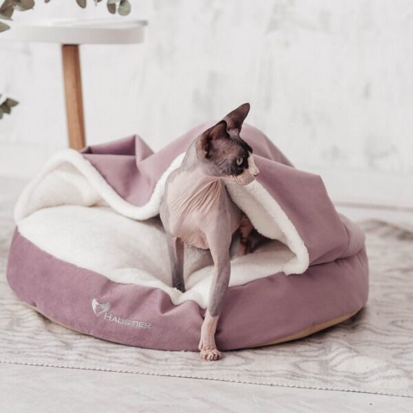 Cozy Dog Cave Bed With Removable Cover | Soft Cat Fancy Beds