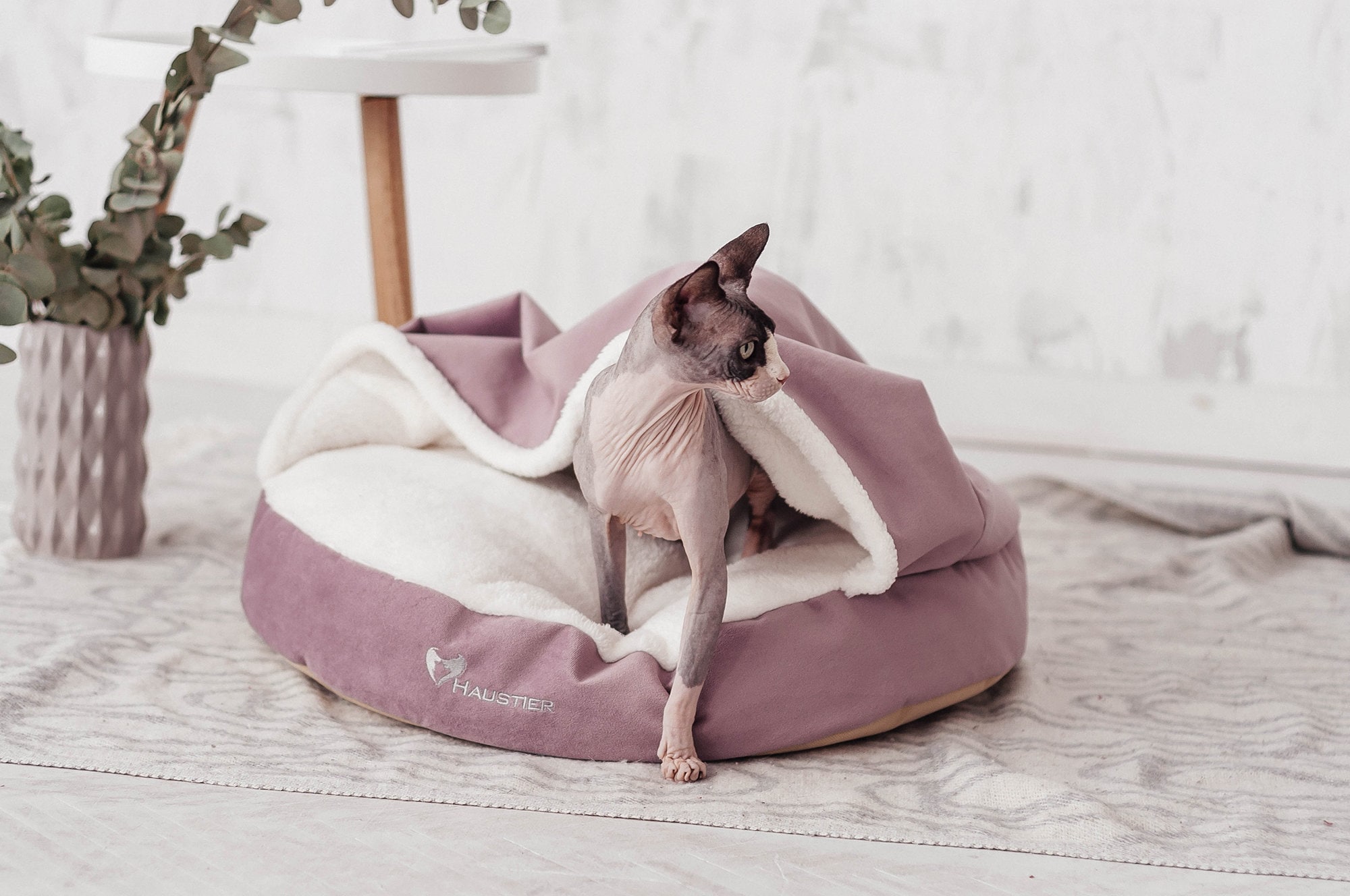 Cozy Dog Cave Bed With Removable Cover | Soft Cat Fancy Beds