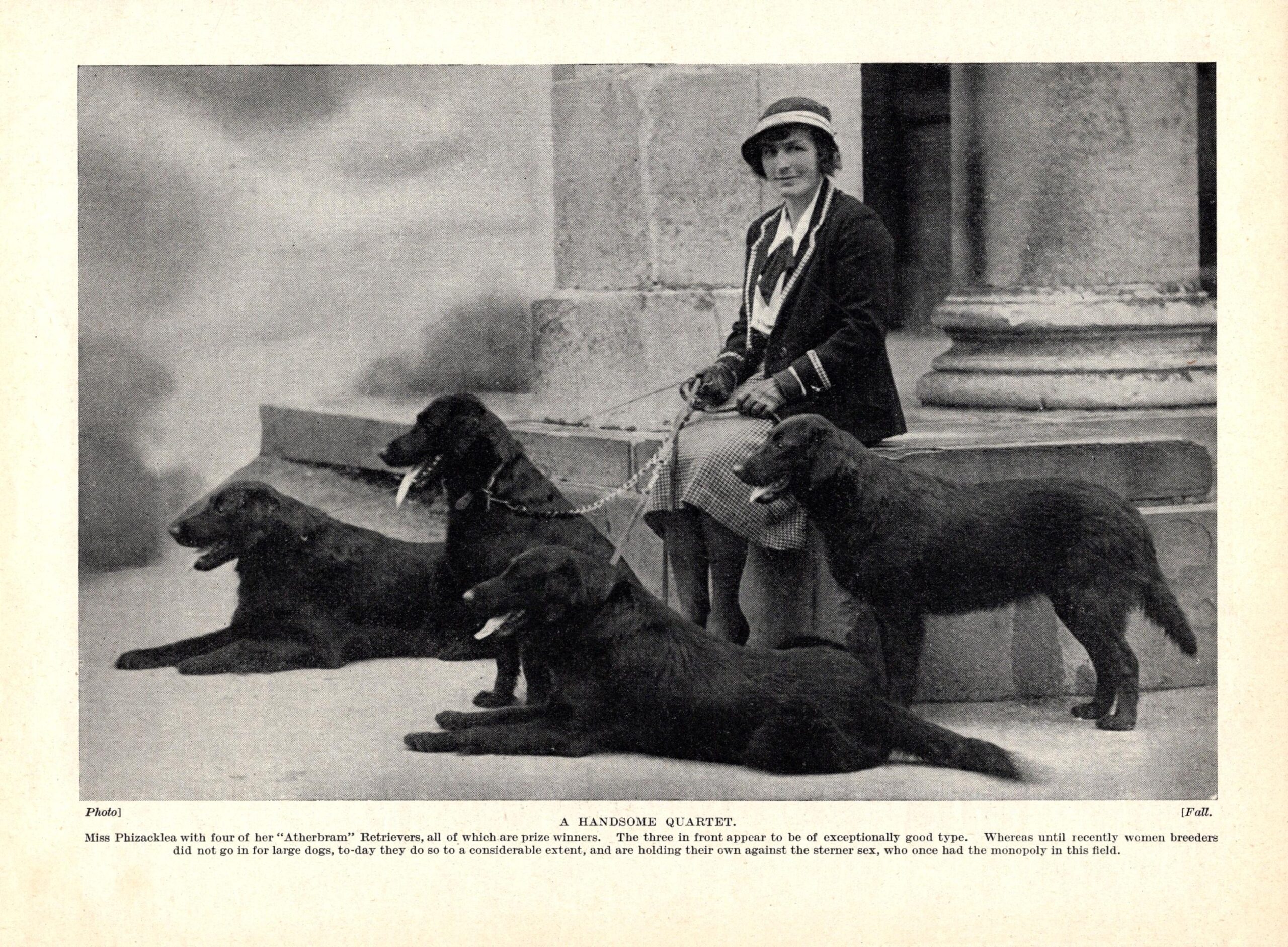 1930's Antique Flat Coated Retriever Print Atherbram Retrievers & Miss Phizacklea Birthday Gift Idea 9626W