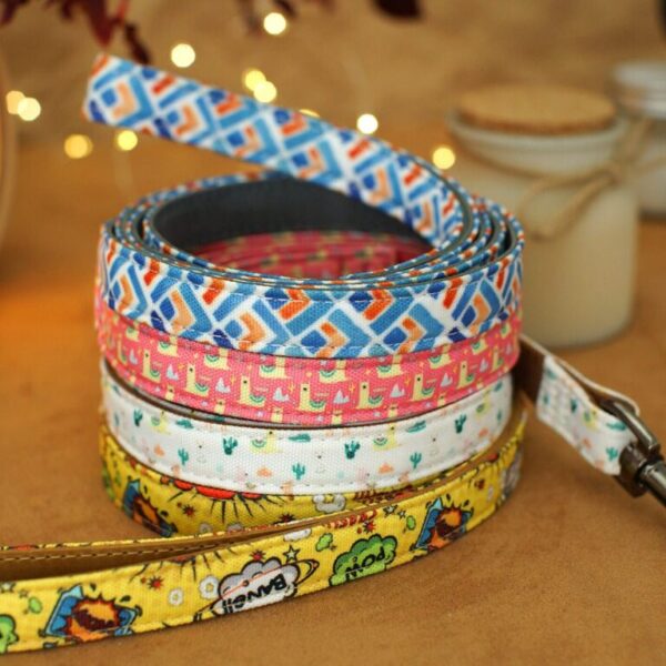 5 Ft Dog Leashes Of Bright Designs - Durable Leather & Fabric Leash Personalized Lead With Padded Handle Walking