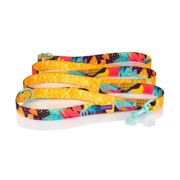 Adjustable Miami Disco Webbing Dog Leash, Personalized Soft Light Watercolor Splash Lead, Lover Gift