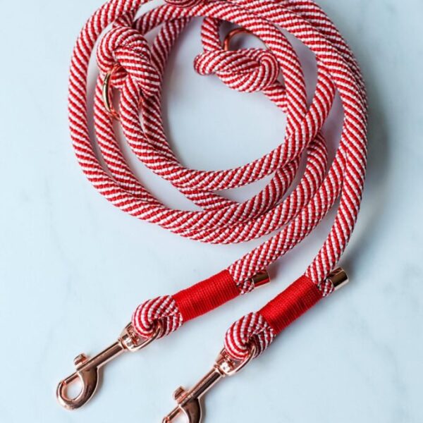 Airin 10 Mm Dog Leash Made Of Climbing Rope, | Adjustable, Lead Handmade Individual Gift