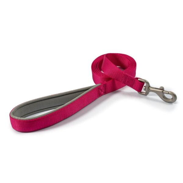 Ancol Viva Nylon Dog Lead with Neoprene Padded Handle Pink 4 Sizes - 100 x 1.9cm