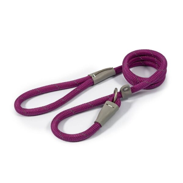 Ancol Viva Rope Slip Lead Purple for Dogs - 150cm x 0.8cm