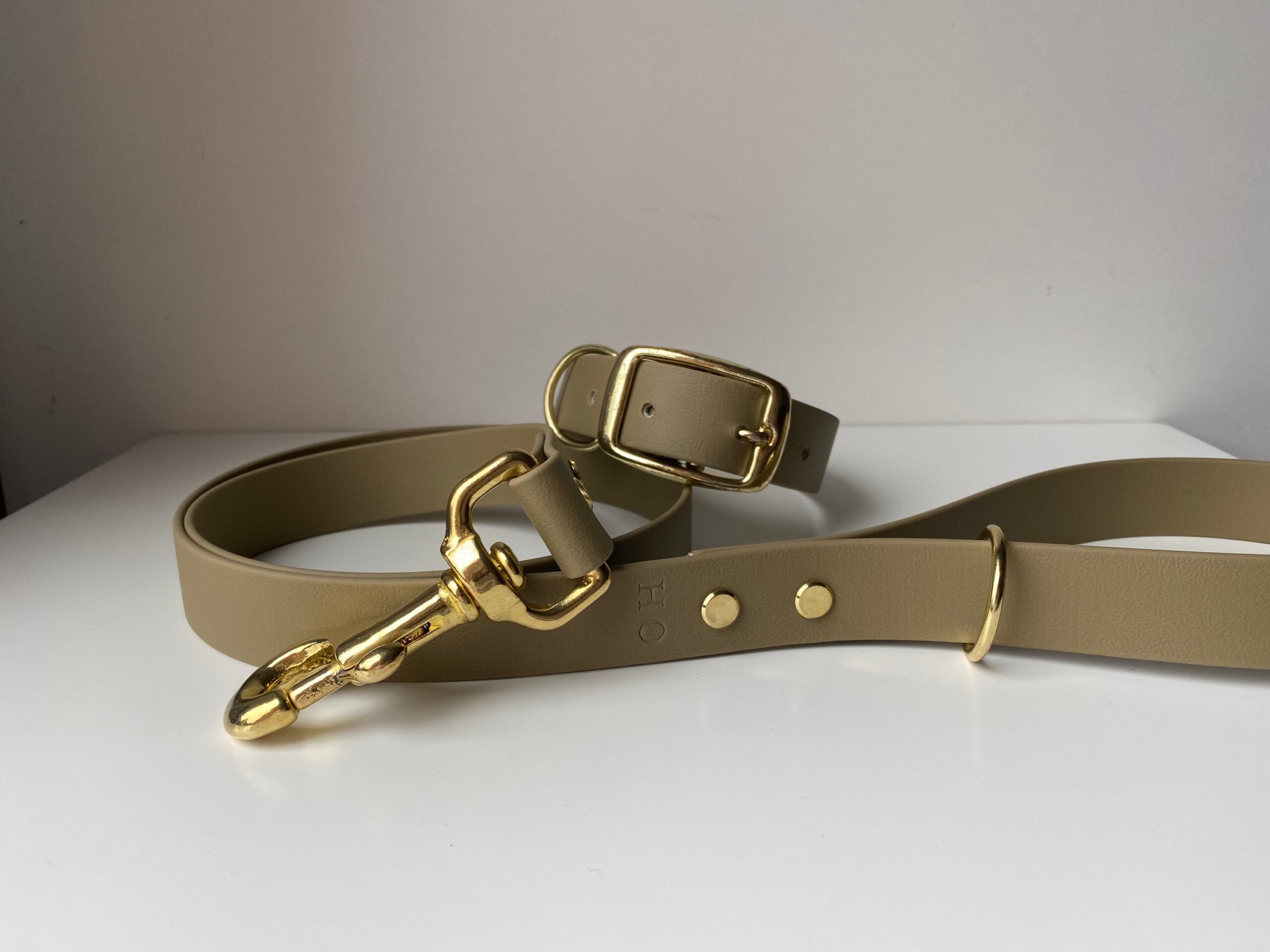 Beige Waterproof Dog Lead | Personalised Biothane