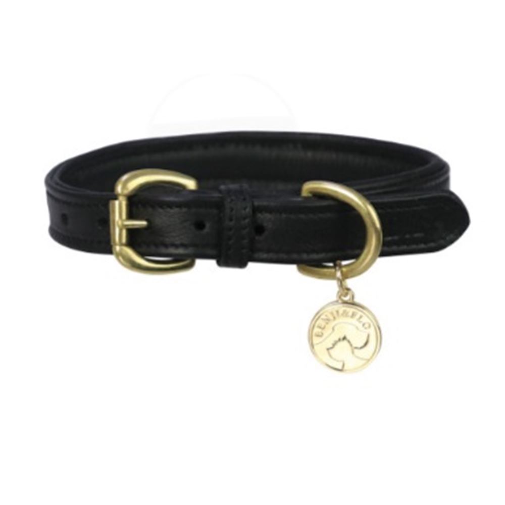 Benji and Flo Deluxe Black/Brass Padded Leather Dog Lead - 120cm
