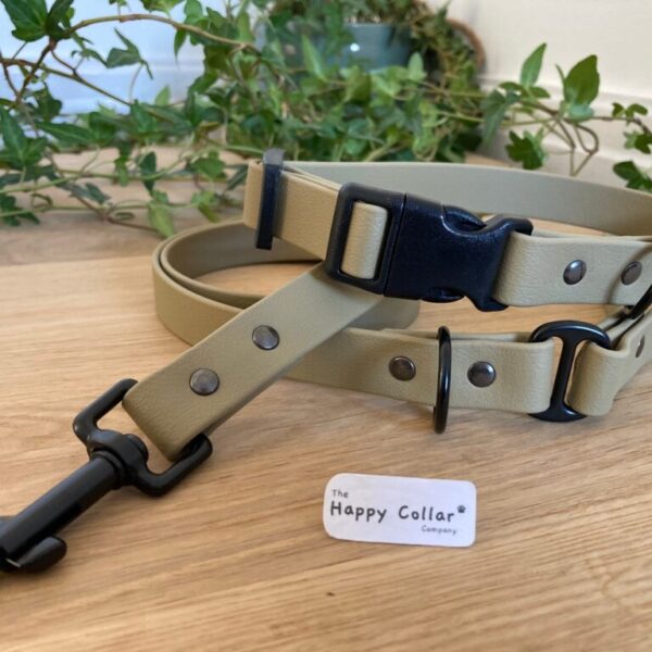 Biothane Dog Collar & Lead Sage Green