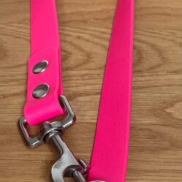 Biothane Dog Training Lead - Waterproof Multi-Use 250cm Long