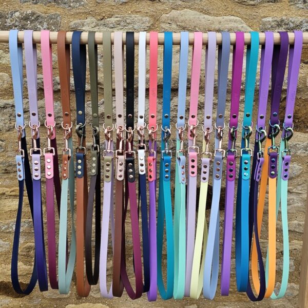 Biothane® Waterproof Two-Coloured Dog Lead®
