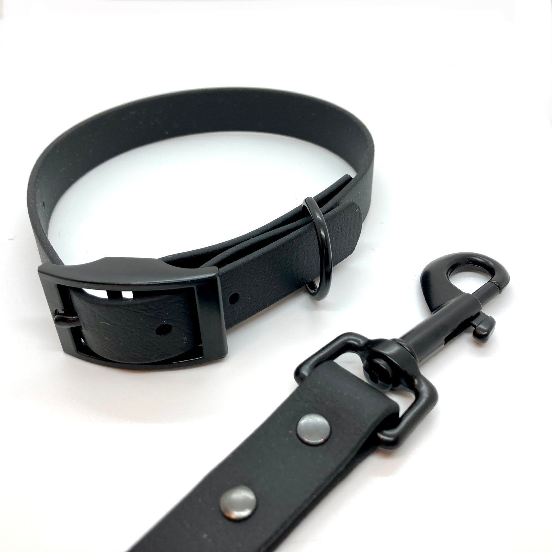 Black Biothane Dog Collar & Lead - Waterproof Matching Set