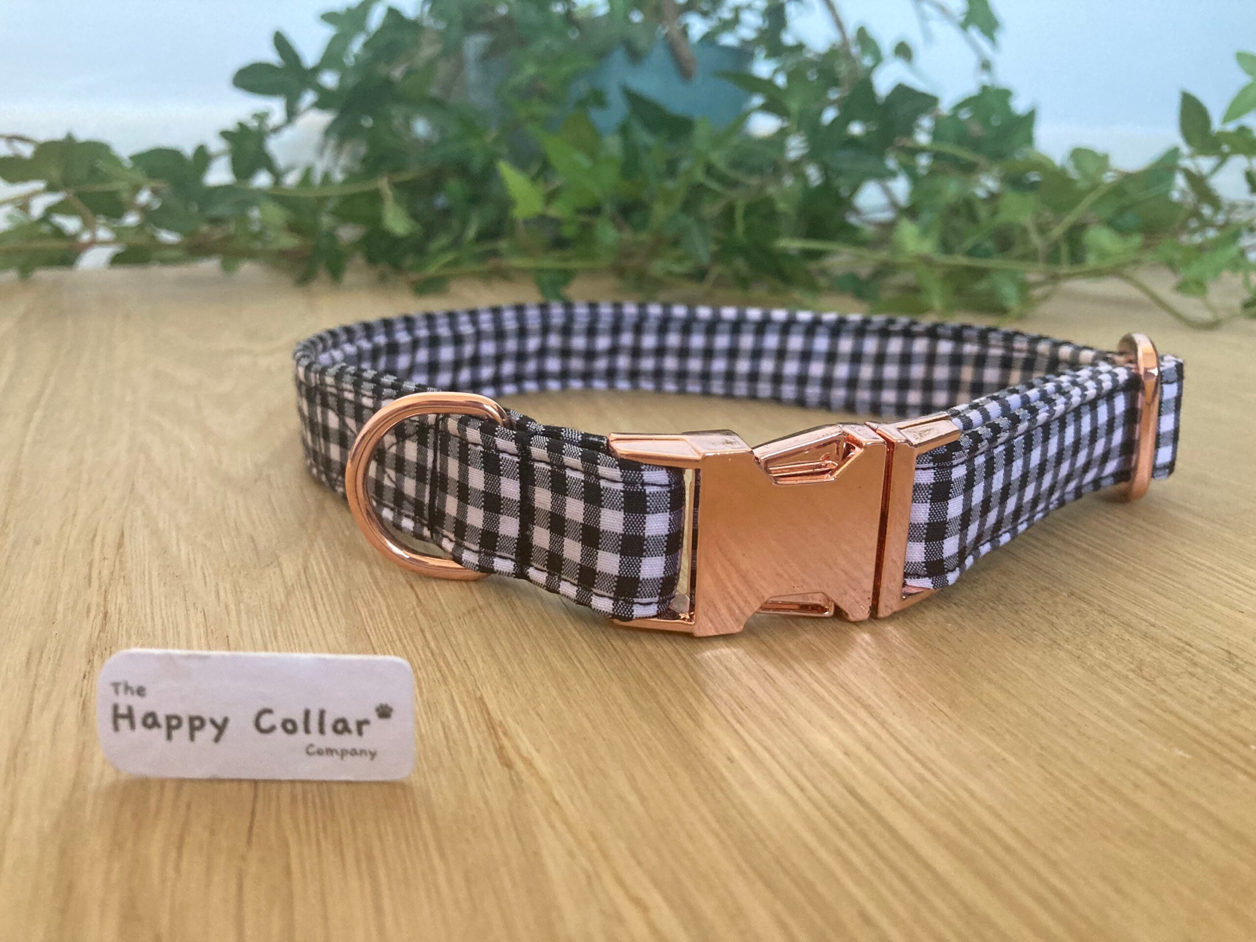 Black & White Gingham Dog Collar Lead