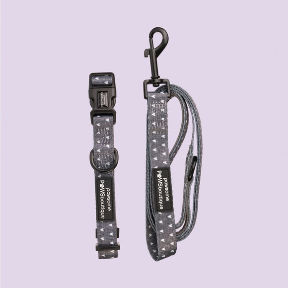 Blackjack Dog Collar and Lead Set