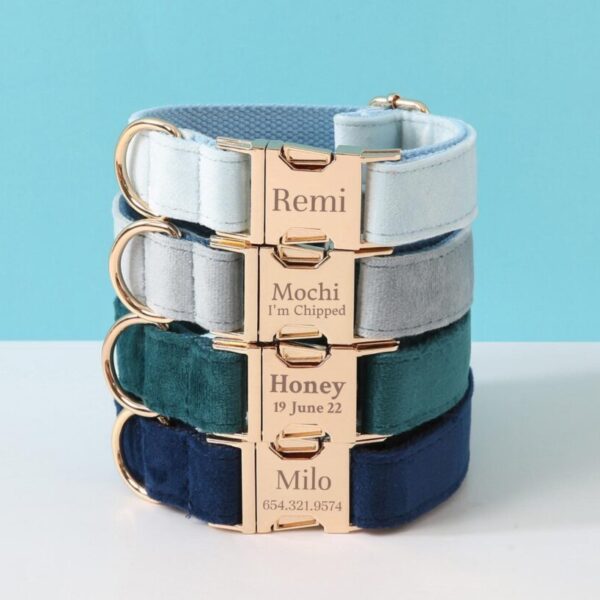 Blue Dog Collar With Personalized Nameplate, Custom Bow Tie & Leash/Lead Set, Puppy For Boy Girl Dogs