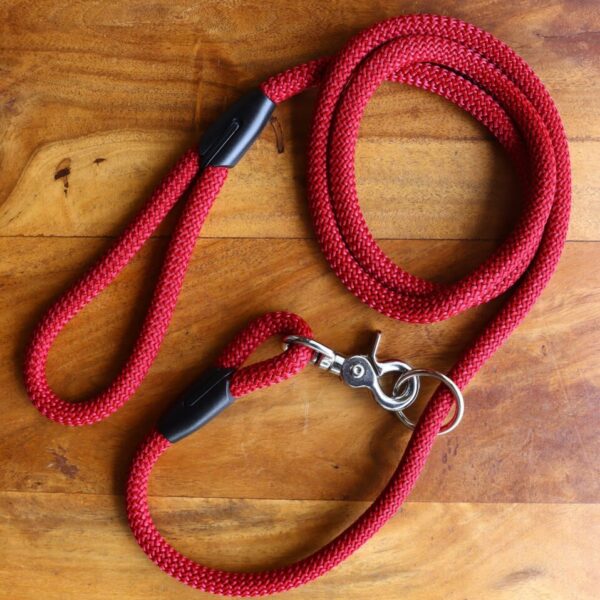 Bordeaux Dog Leash For Small & Big Dogs/Dog Leads/Dog Leash/