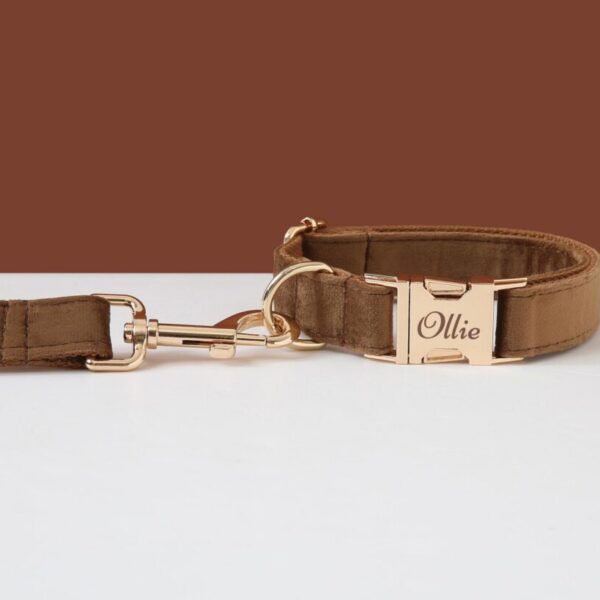 Brown Velvet Bow Tie Dog Collar & Leash Set, Personalised With Name, Custom Boy Puppy Lead For Girl