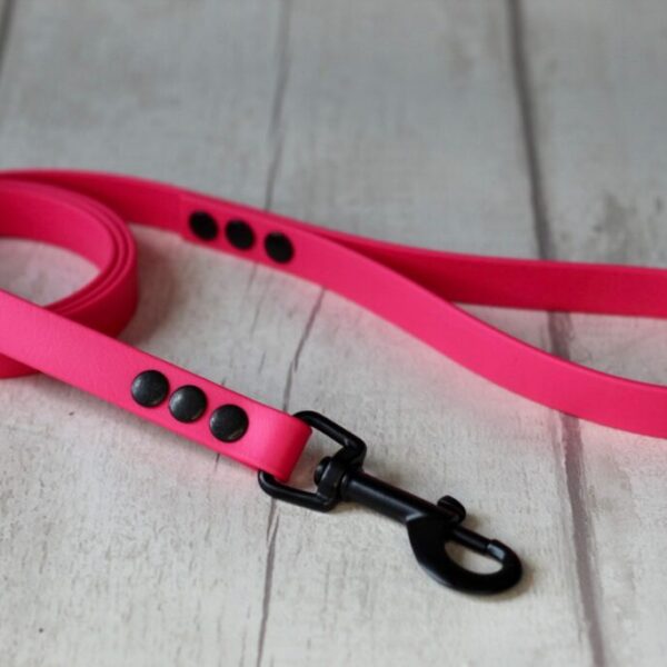 Cerise Biothane Dog Lead