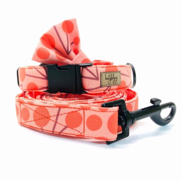 Cherry Dog Set With Collar, Leash & Bow, Pink Red Lead For Puppy, Collar Small Breed Dogs, Detachable Bow Tie Pets
