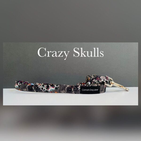 Crazy Skulls Fabric Dog Lead Fully Lined