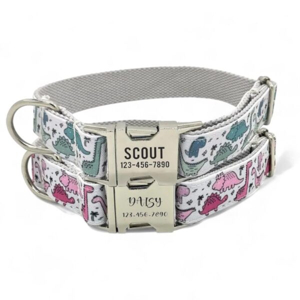 Cute Dinosaurs Personalized Dog Collar & Leash - Dino & Lead Pink Green T Rex Triceraptops Stegesaur Stegosaurus Collars