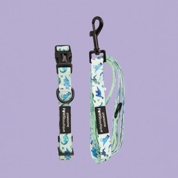 Dinky Dino Dog Collar and Lead Set