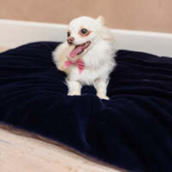 Dog Bed Duvet & Dog Bed Duvet Cover Sml/Med Faux Fur Blackberry - Small to medium