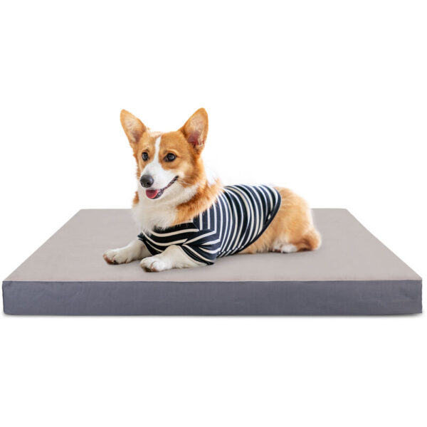 Dog Bed Medium Washable Dog Bed Sponge Orthopedic Dog Mattress for Dog Crate Flat Dog Bed Soft Cat Bed with Removable Zip Cover Pet Bed for Puppy, m,
