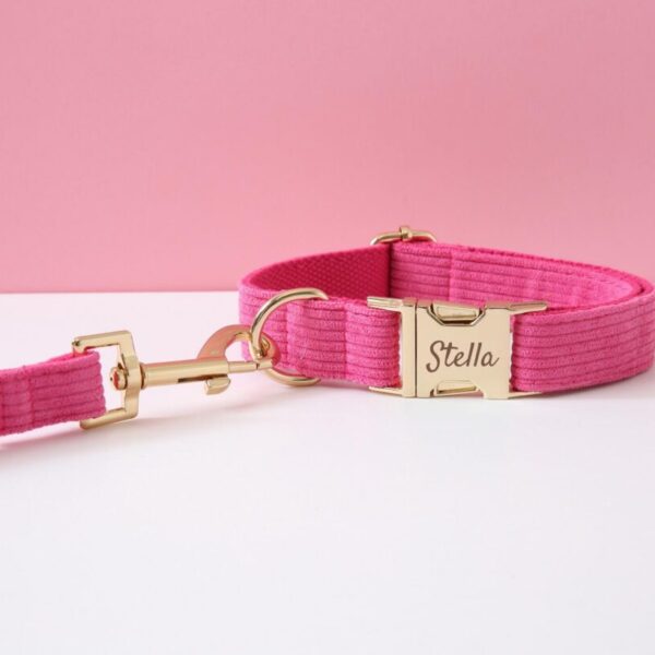 Rose Pink Dog Collar & Lead Set, Personalized Name Engraved Pet For Small Puppy Large Dog, Custom Metal Buckle