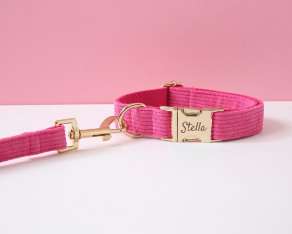 Rose Pink Dog Collar & Lead Set, Personalized Name Engraved Pet For Small Puppy Large Dog, Custom Metal Buckle