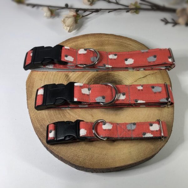 Sheep Dog Collar, Orange, Optional Matching Lead Available