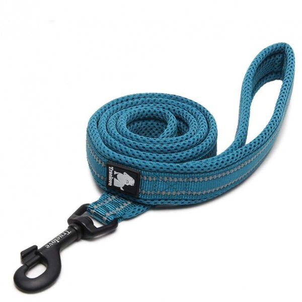 Truelove Dog Puppy Leads Airmesh Reflective 2m Blue 4 Sizes - Small